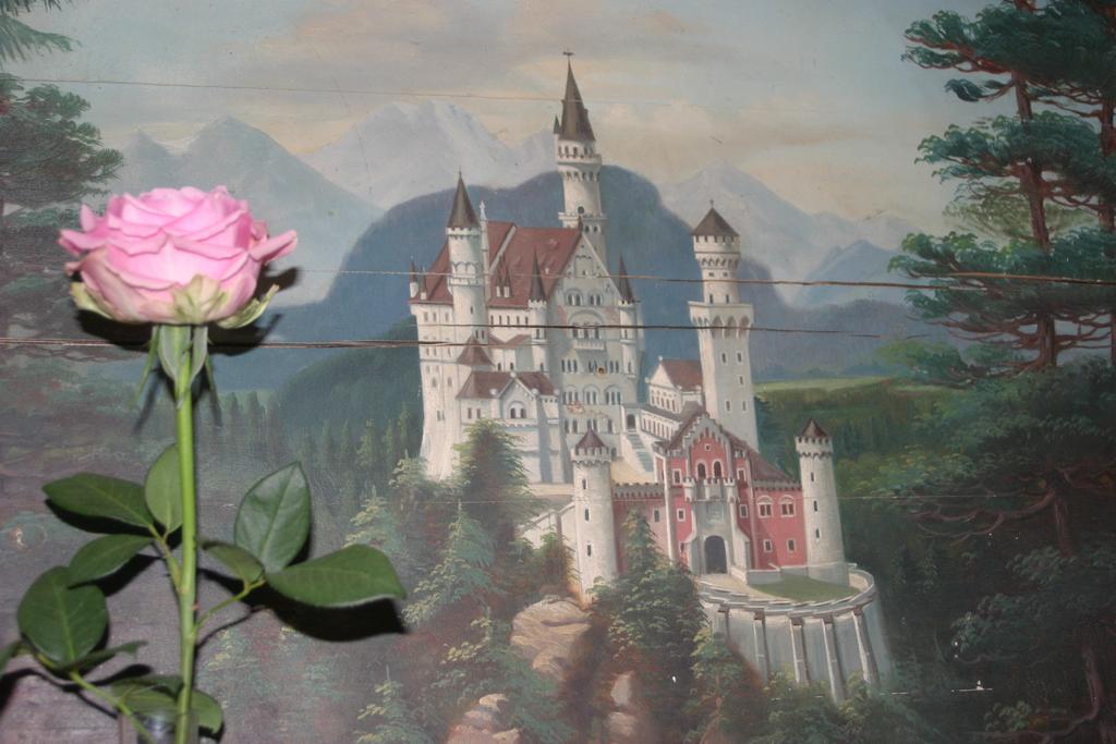 Apartament Haus Magnolia Schwangau Zewnętrze zdjęcie
